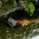 Imagen para el artículo titulado Un hombre herido grave tras hacerse un selfie con un cocodrilo que creía de plástico